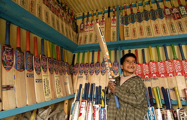 Hit Sixes in Budget: Best Kashmir Willow Bats Under ₹1000